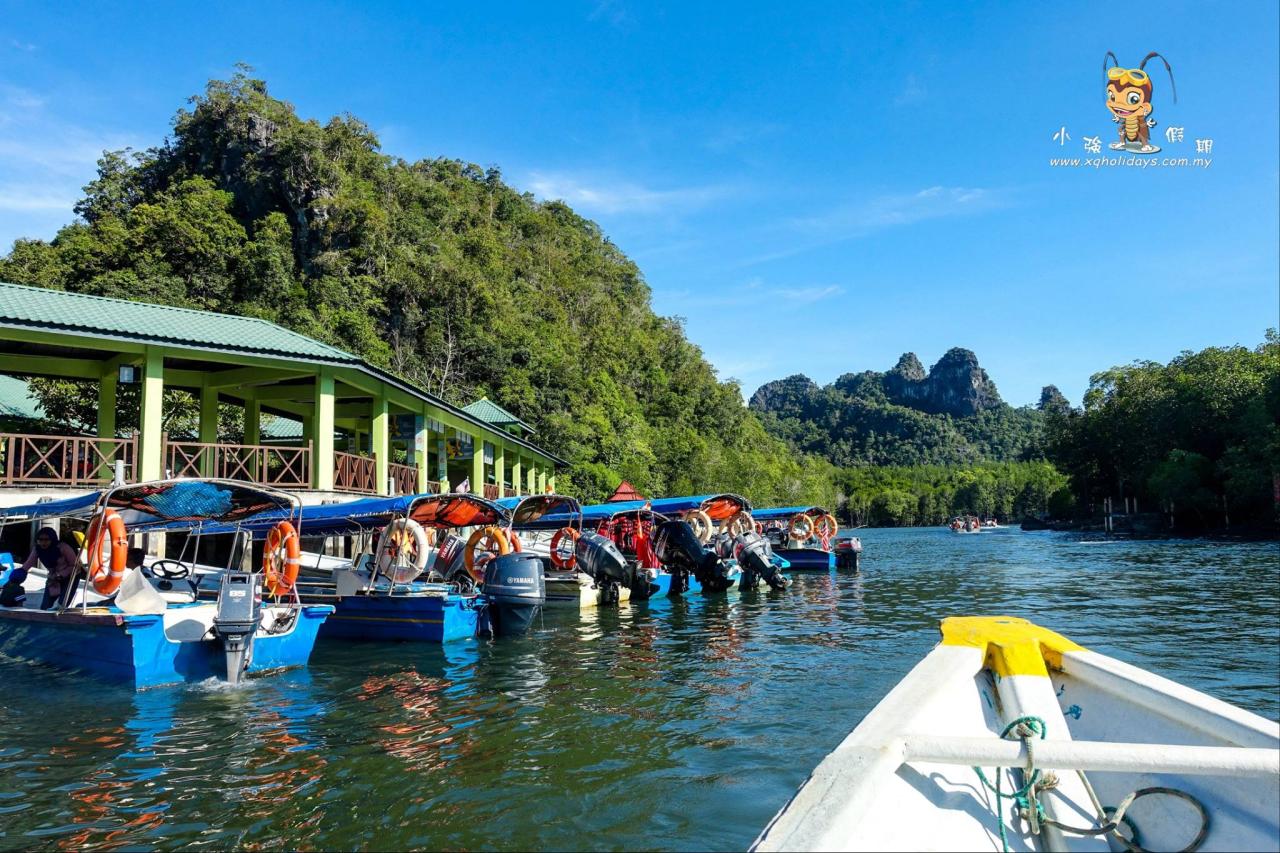 Jelajahi Keindahan Hutan Mangrove Langkawi yang Menakjubkan